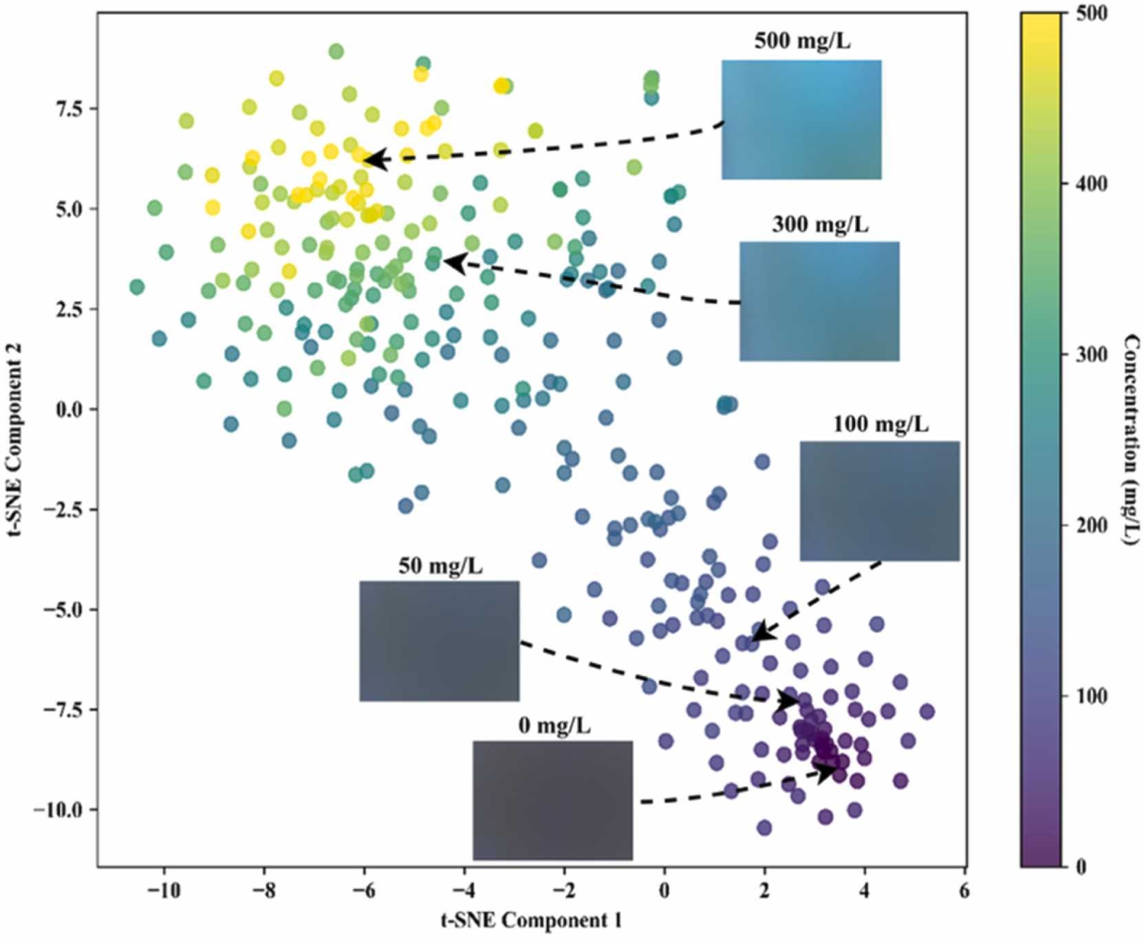 Oil spill concentration visualization