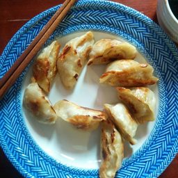 饺子餐食记录